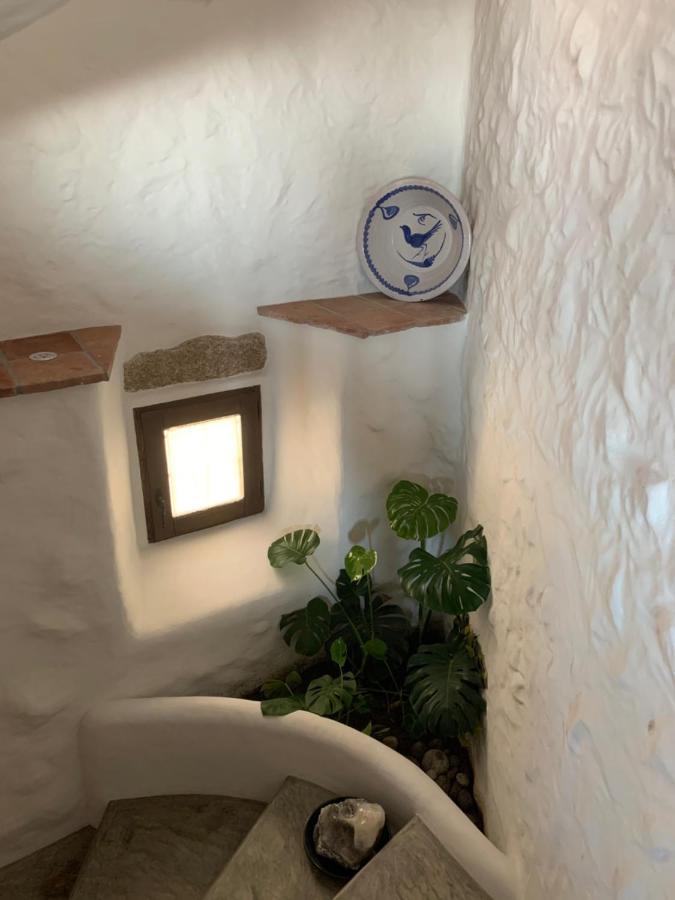 Lanzaroco, Tu Casa En La Vera Valverde de la Vera エクステリア 写真